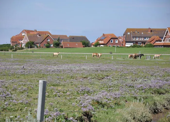 Seevilla Wietjes Whg 6 Apartament *