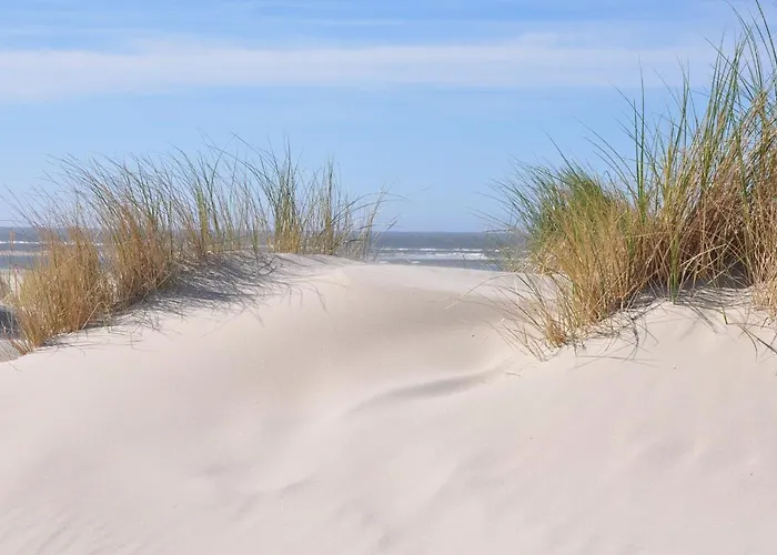 Seevilla Wietjes Whg 6 Baltrum